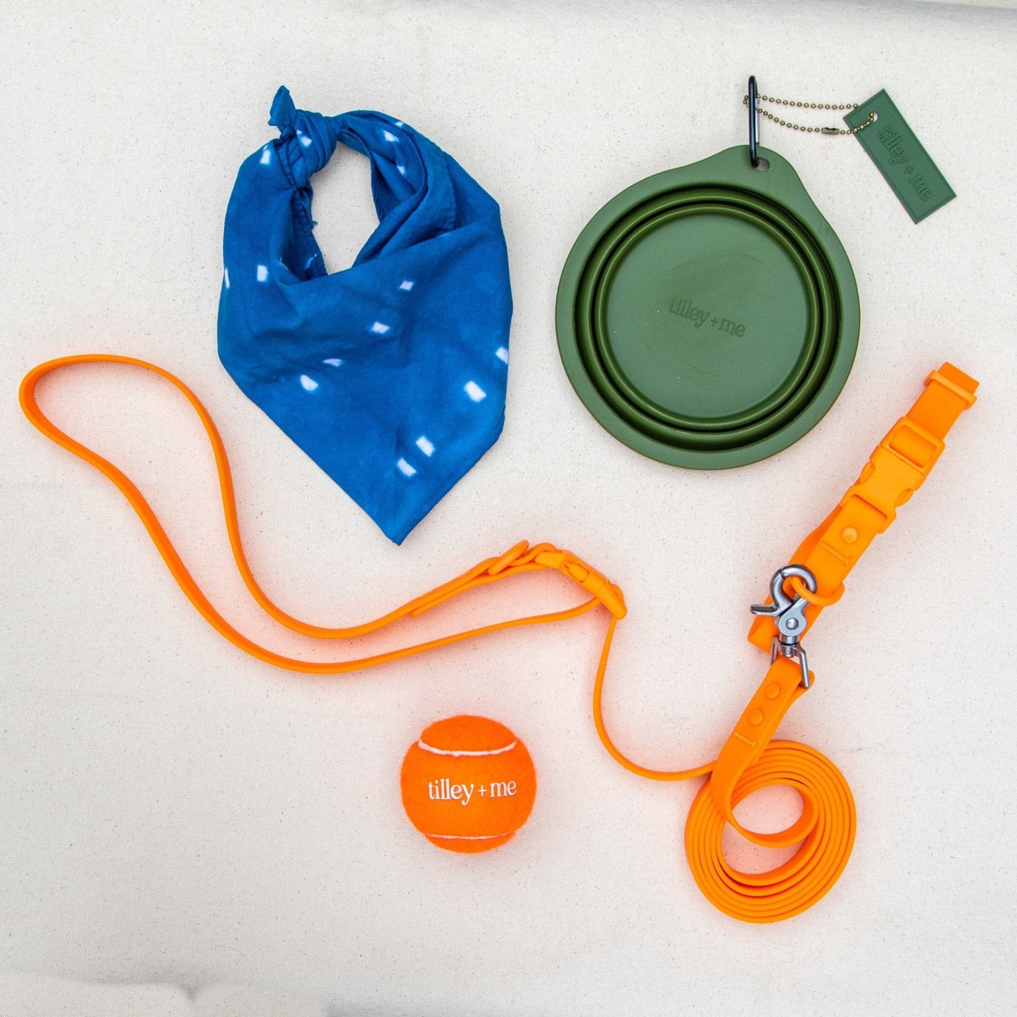 Collapsible Pet Bowl with Clip – Compact, Reusable and Easy to Clean