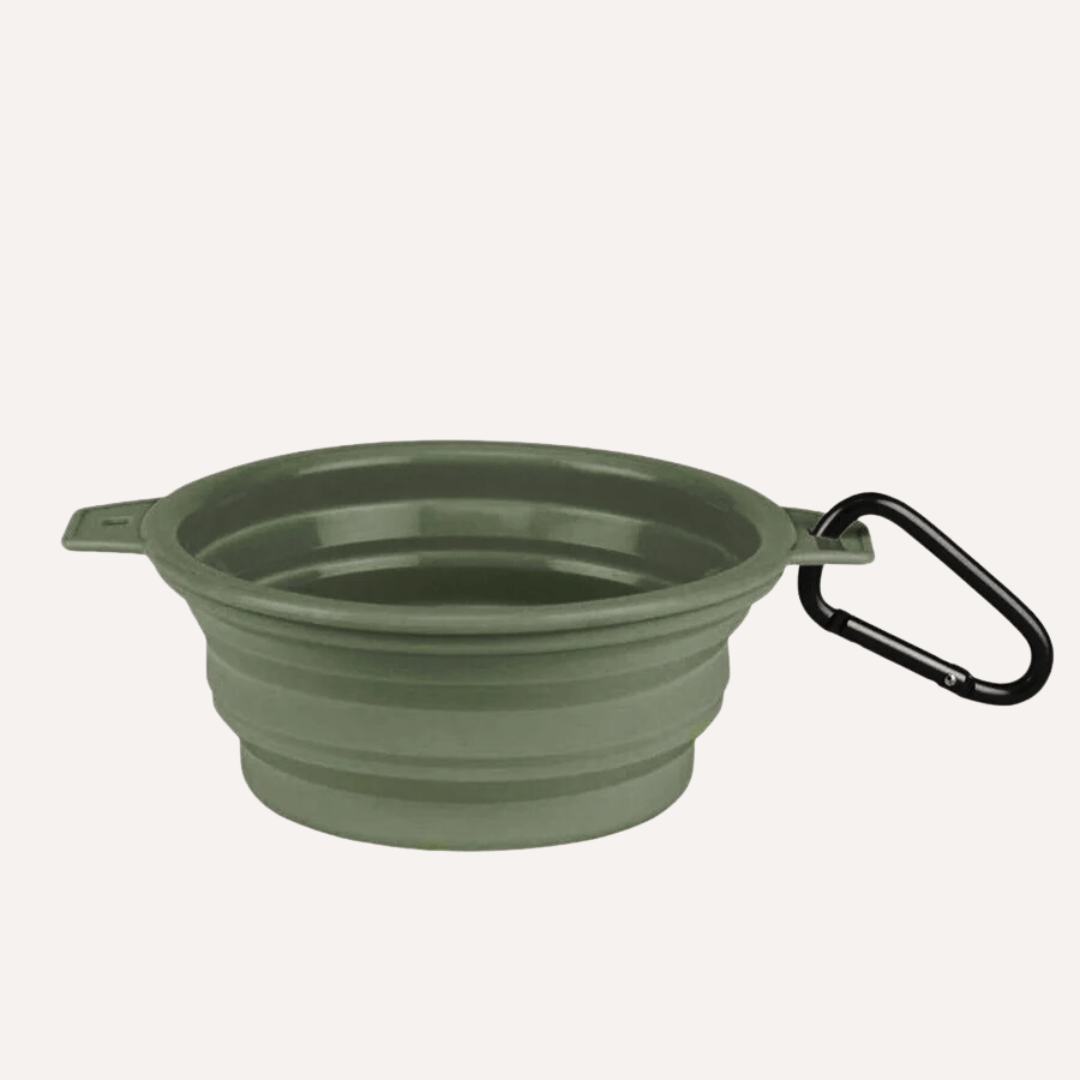 Collapsible Pet Bowl with Clip – Compact, Reusable and Easy to Clean
